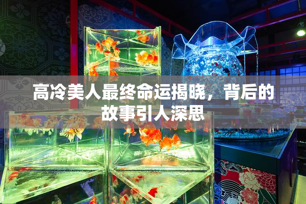 高冷美人最终命运揭晓，背后的故事引人深思