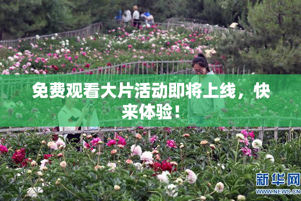 免费观看大片活动即将上线，快来体验！