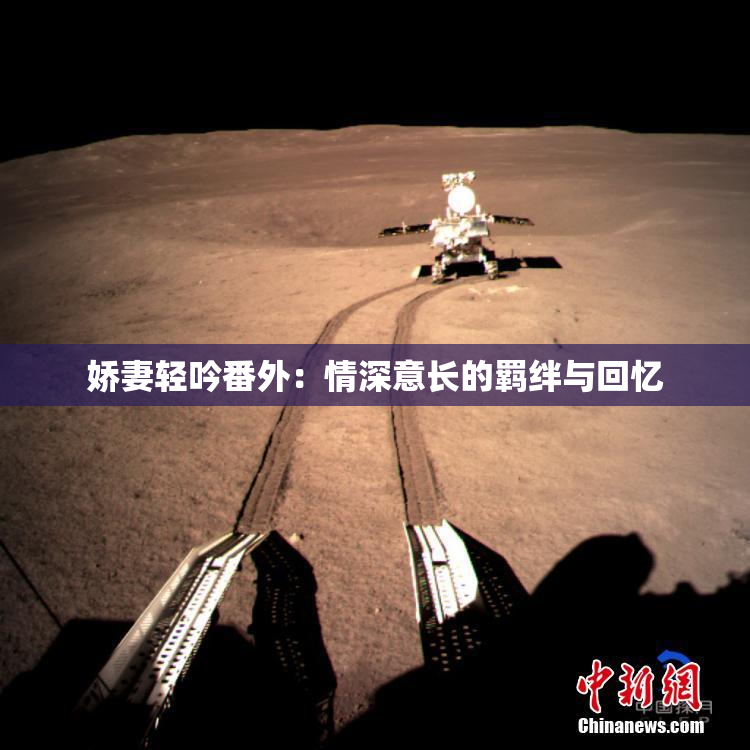 娇妻轻吟番外：情深意长的羁绊与回忆