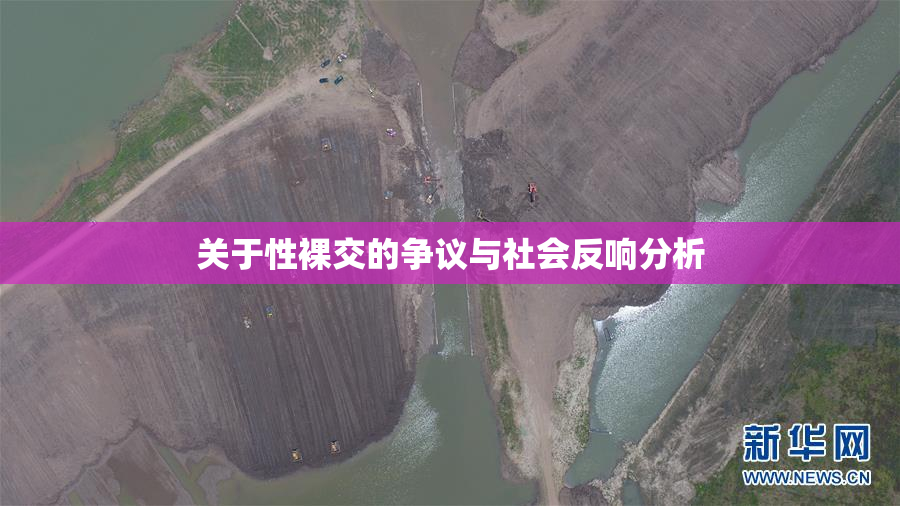 关于性裸交的争议与社会反响分析