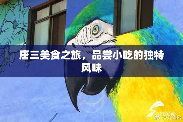 唐三美食之旅，品尝小吃的独特风味