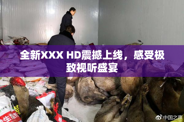 全新XXX HD震撼上线，感受极致视听盛宴