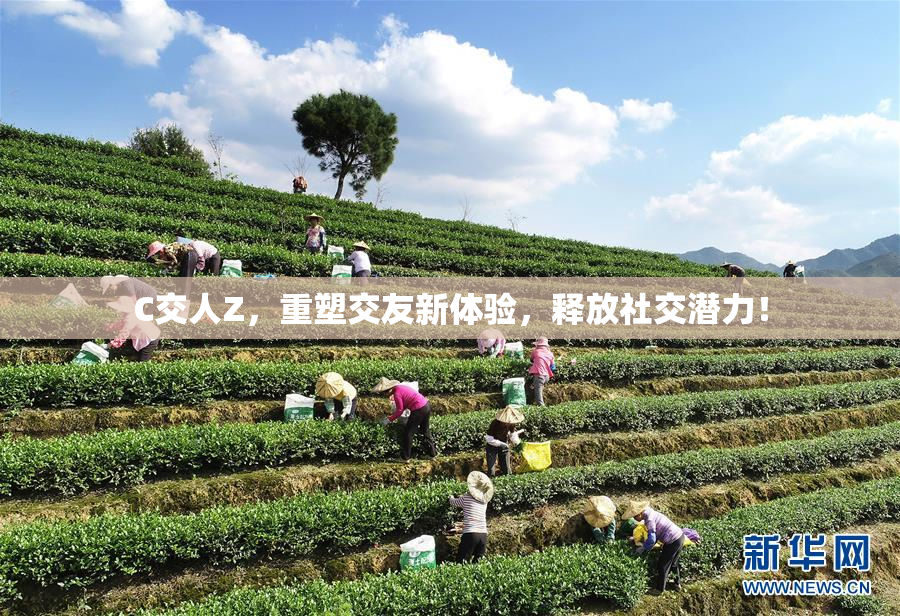 C交人Z，重塑交友新体验，释放社交潜力！