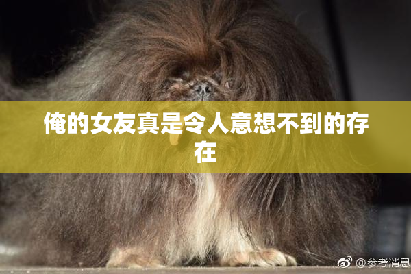 俺的女友真是令人意想不到的存在