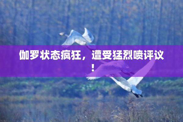 伽罗状态疯狂，遭受猛烈喷评议！