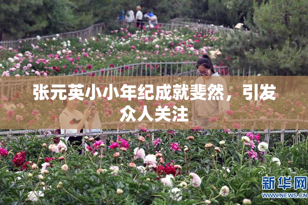 张元英小小年纪成就斐然，引发众人关注