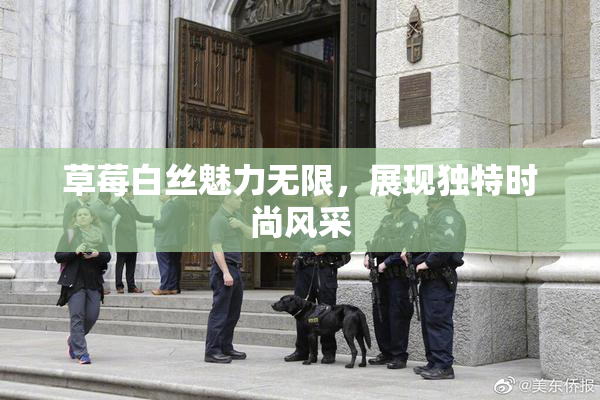 草莓白丝魅力无限，展现独特时尚风采