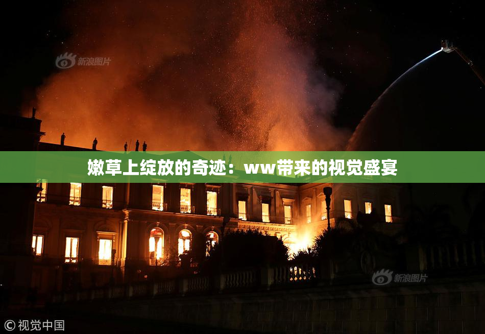 嫩草上绽放的奇迹：ww带来的视觉盛宴