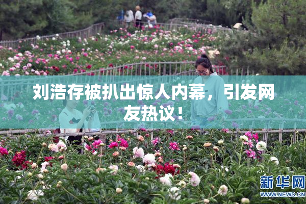 刘浩存被扒出惊人内幕，引发网友热议！
