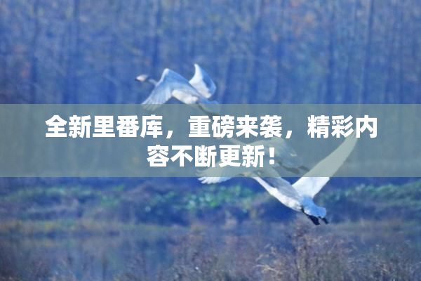 全新里番库，重磅来袭，精彩内容不断更新！