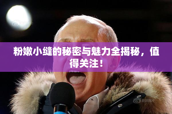 粉嫩小缝的秘密与魅力全揭秘，值得关注！