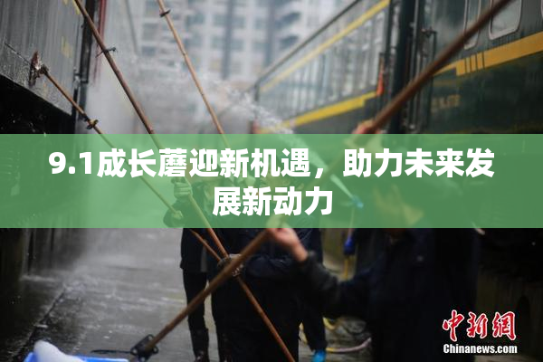 9.1成长蘑迎新机遇，助力未来发展新动力