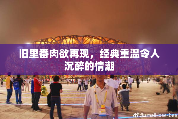 旧里番肉欲再现，经典重温令人沉醉的情潮