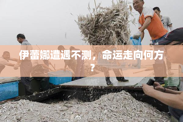 伊蕾娜遭遇不测，命运走向何方？