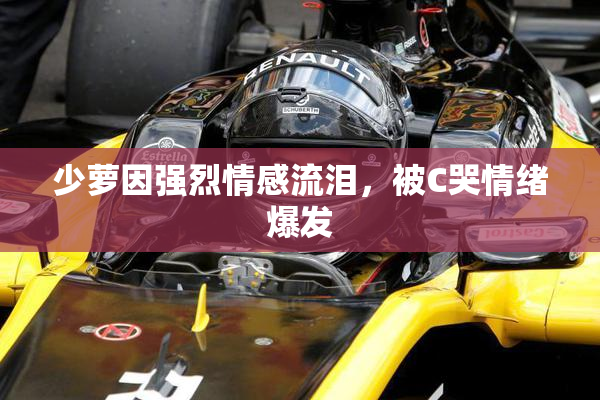 少萝因强烈情感流泪，被C哭情绪爆发
