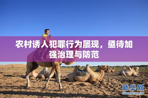 农村诱人犯罪行为屡现，亟待加强治理与防范