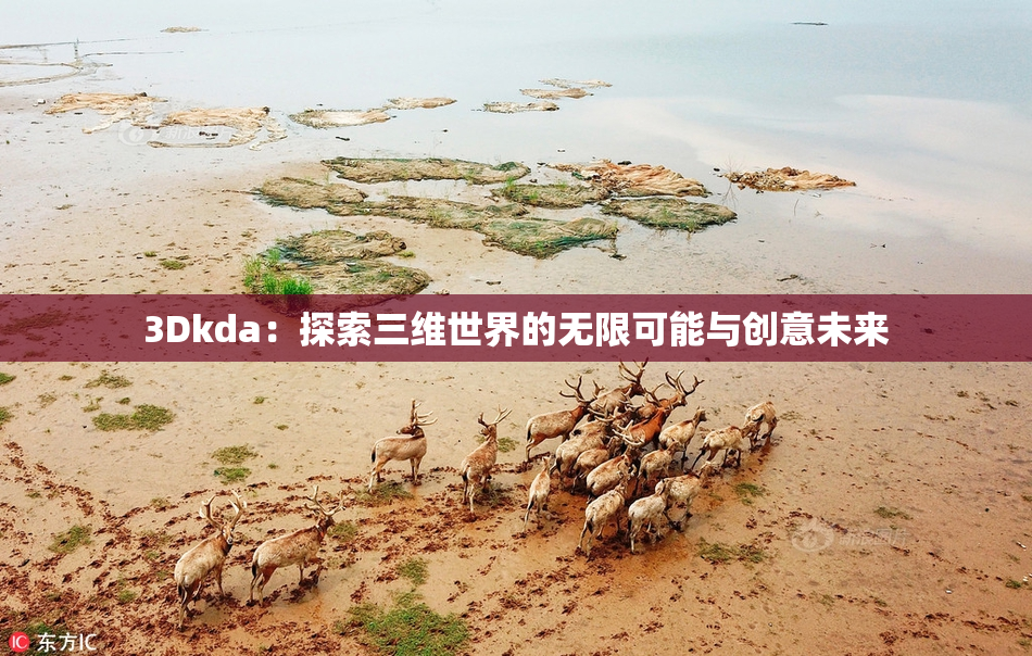 3Dkda：探索三维世界的无限可能与创意未来