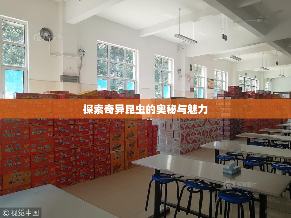 探索奇异昆虫的奥秘与魅力