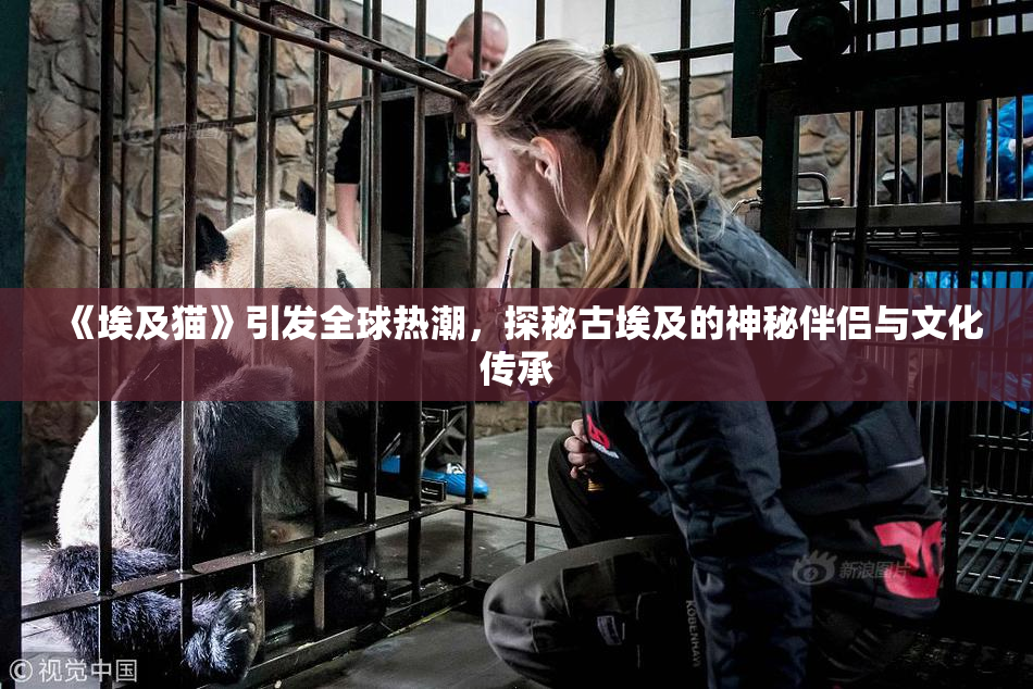 《埃及猫》引发全球热潮，探秘古埃及的神秘伴侣与文化传承