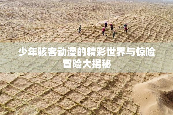少年骇客动漫的精彩世界与惊险冒险大揭秘