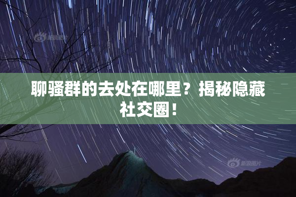 聊骚群的去处在哪里？揭秘隐藏社交圈！