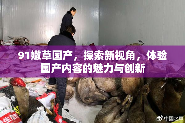 91嫩草国产，探索新视角，体验国产内容的魅力与创新