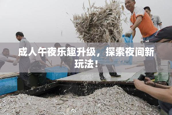 成人午夜乐趣升级，探索夜间新玩法！