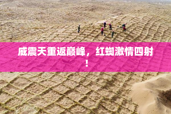 威震天重返巅峰，红蜘激情四射！