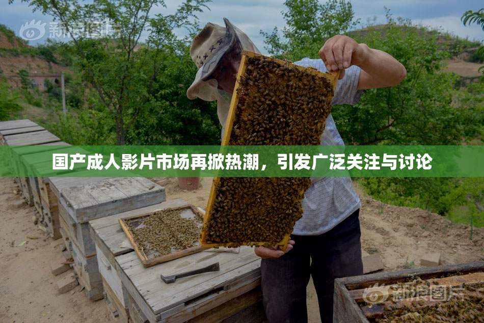 国产成人影片市场再掀热潮，引发广泛关注与讨论