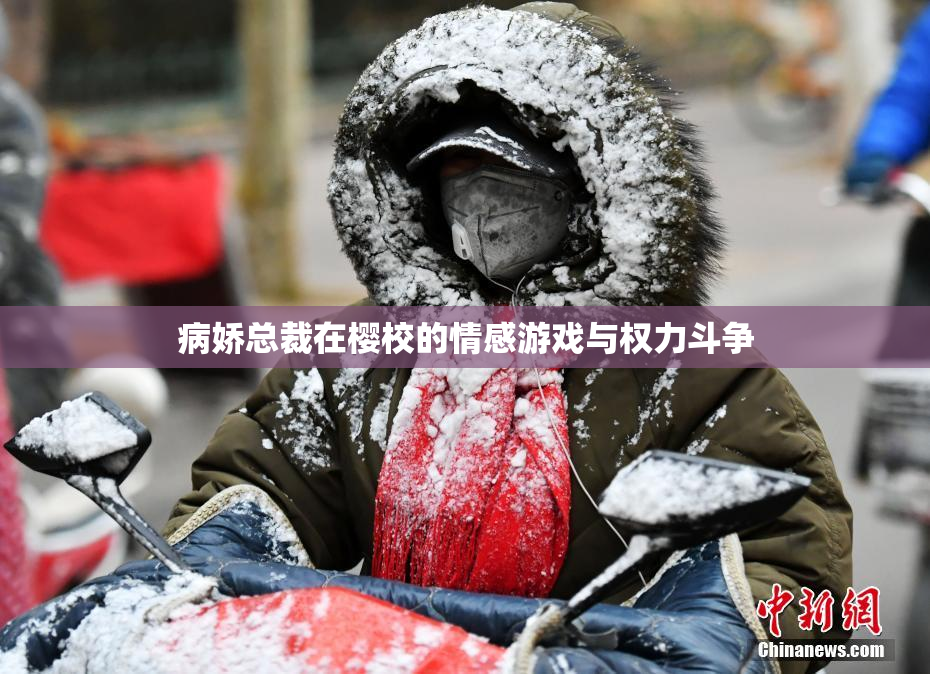 病娇总裁在樱校的情感游戏与权力斗争