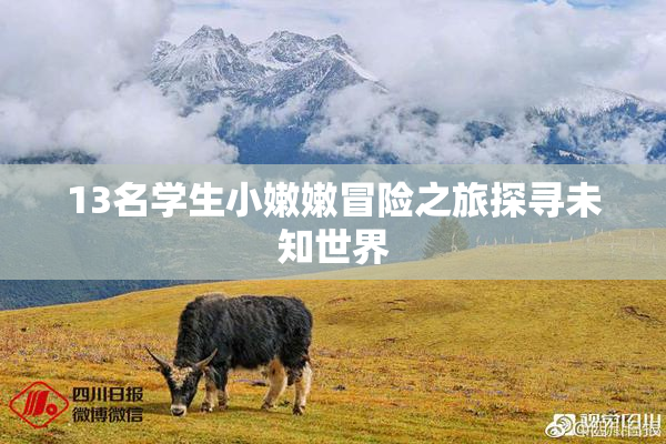 13名学生小嫩嫩冒险之旅探寻未知世界
