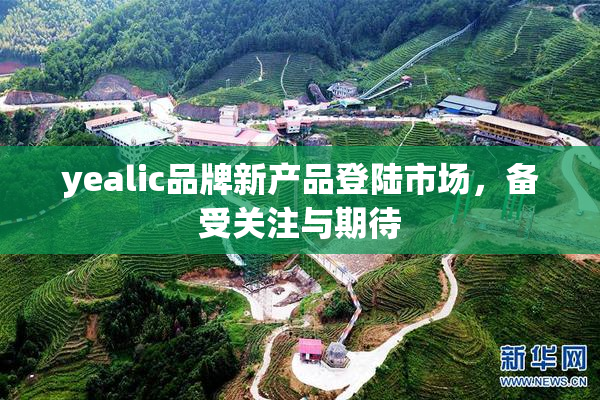 yealic品牌新产品登陆市场，备受关注与期待