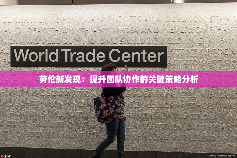 劳伦新发现：提升团队协作的关键策略分析