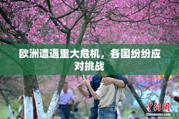 欧洲遭遇重大危机，各国纷纷应对挑战