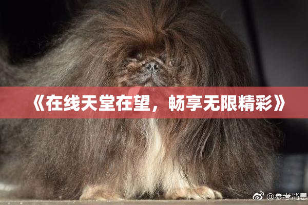 《在线天堂在望，畅享无限精彩》