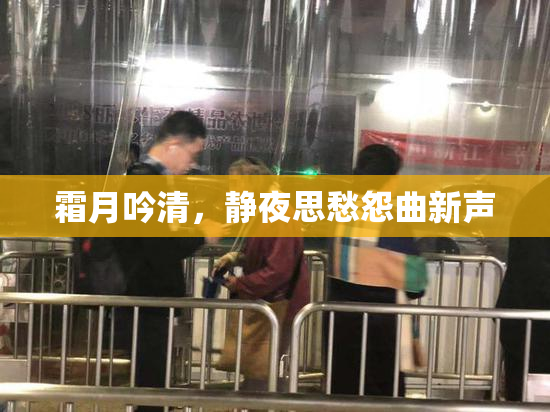 霜月吟清，静夜思愁怨曲新声