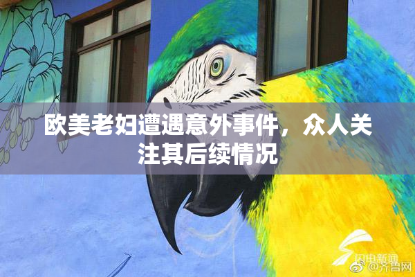 欧美老妇遭遇意外事件，众人关注其后续情况