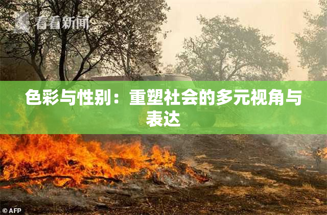色彩与性别：重塑社会的多元视角与表达