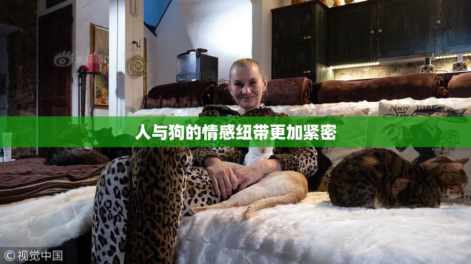 人与狗的情感纽带更加紧密