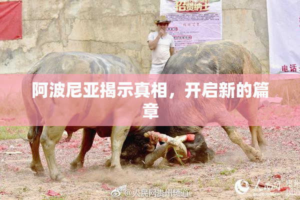 阿波尼亚揭示真相，开启新的篇章