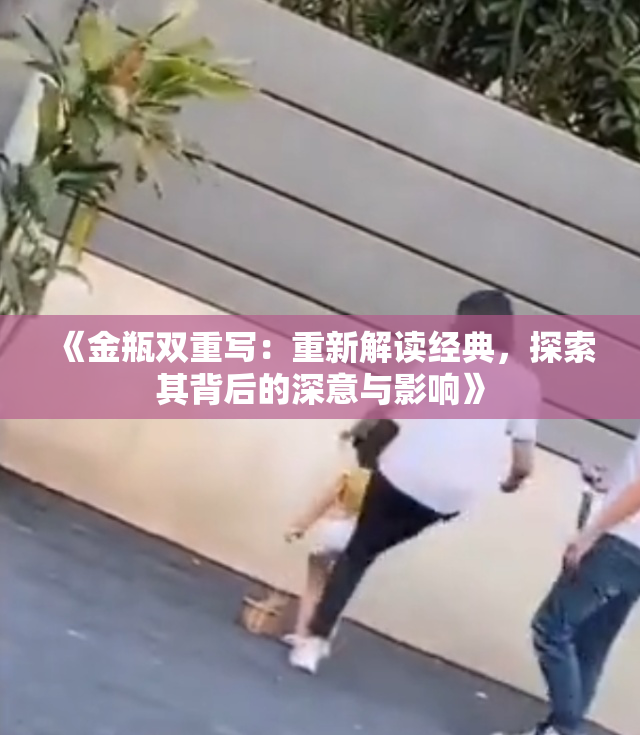 《金瓶双重写：重新解读经典，探索其背后的深意与影响》