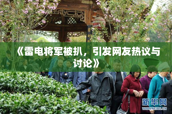 《雷电将军被扒，引发网友热议与讨论》