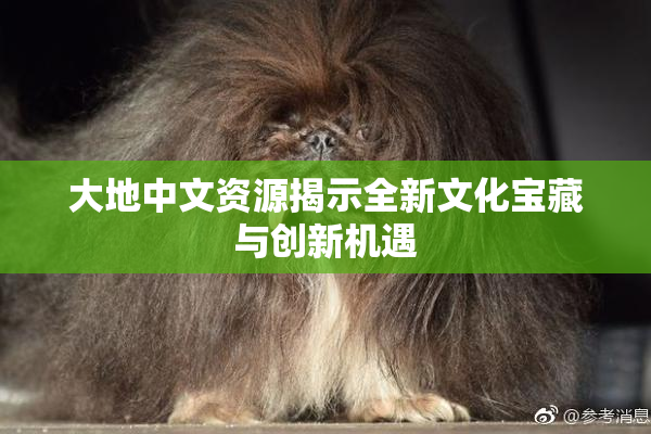 大地中文资源揭示全新文化宝藏与创新机遇