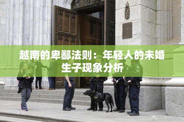 越南的卑鄙法则：年轻人的未婚生子现象分析