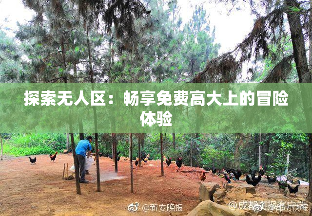 探索无人区：畅享免费高大上的冒险体验