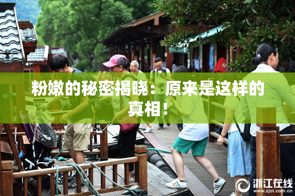 粉嫩的秘密揭晓：原来是这样的真相！