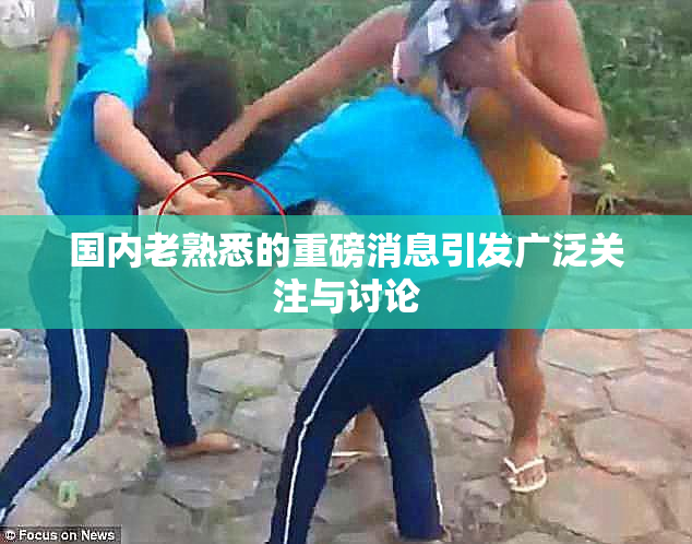 国内老熟悉的重磅消息引发广泛关注与讨论