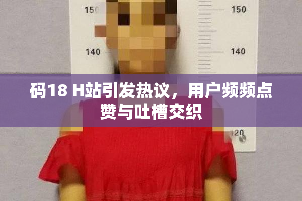 码18 H站引发热议，用户频频点赞与吐槽交织