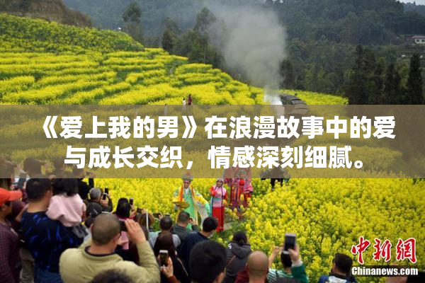 《爱上我的男》在浪漫故事中的爱与成长交织，情感深刻细腻。