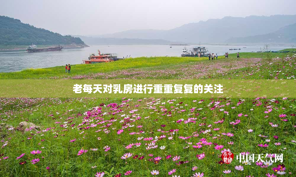 老每天对乳房进行重重复复的关注